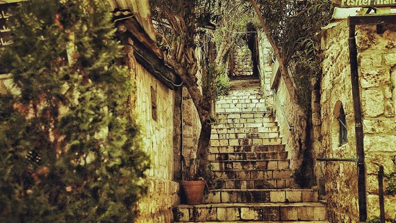 "It is not enough to stare up the steps, we must step up the stairs." |... (Byblos, Lebanon)