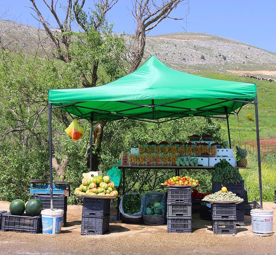 It's all about FRESH.... fresh vegetables farm fruits jnoub... (سهل الميذنة- كفررمان)
