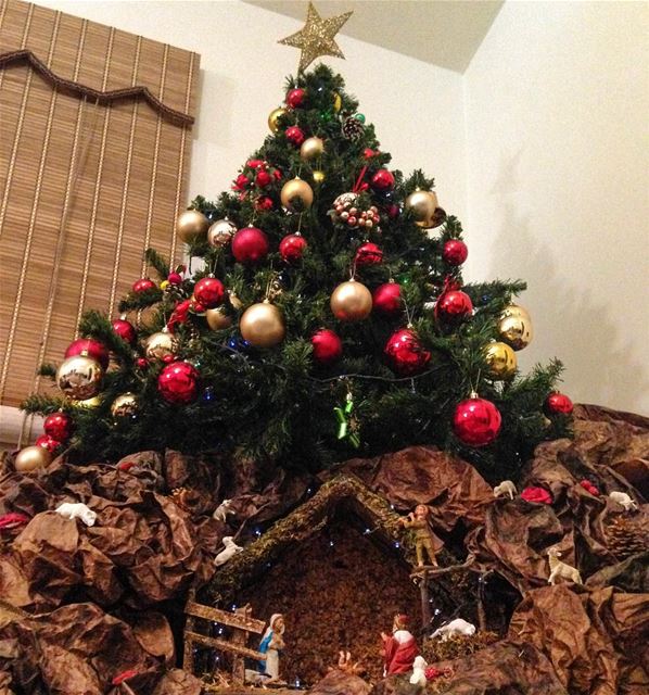 It's Christmas!🎄 christmas  christmastree  creche  lebanon  liban  sapin ...