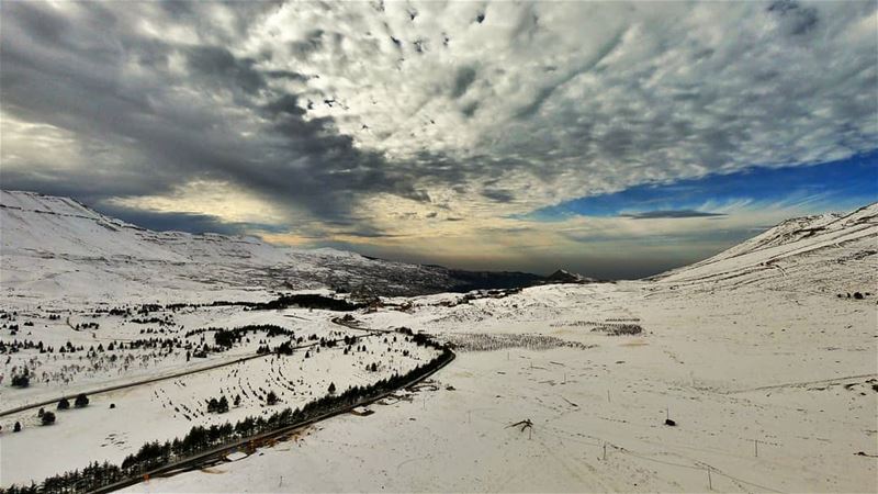 It was a cold day but the horizon was really warm and promising.I hope... (The Cedars of Lebanon)