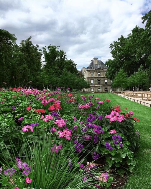 Jardin du Luxembourg a must visit spot when in Paris 🌸🌺☘️ .......... (Jardin du Luxembourg)
