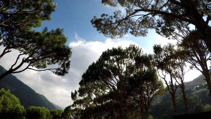  jezzine  lebanon  timelapse  sun  sky  forest  trees   mountains ... (Jezzine District)