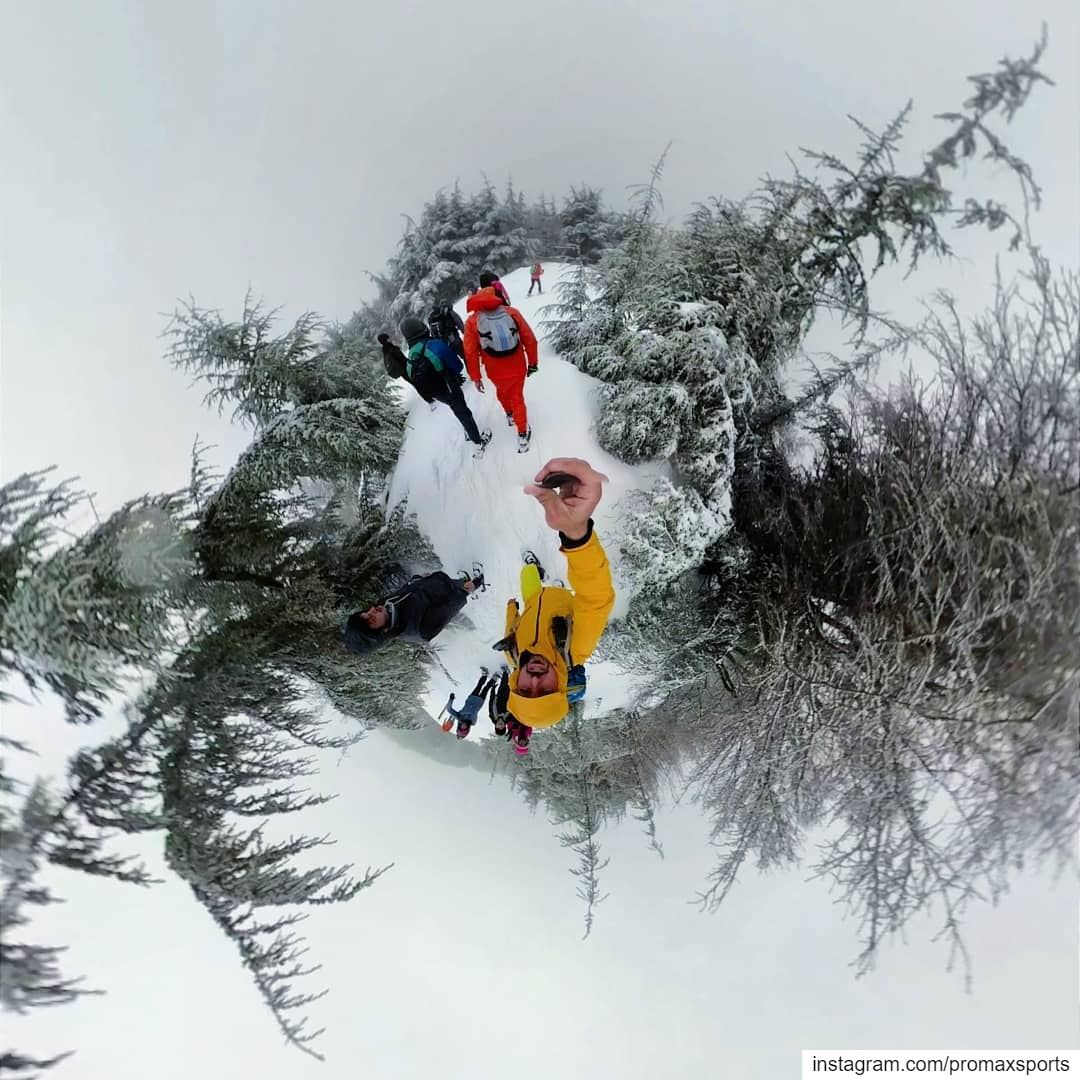 Join ProMax this Sun.Jan 13 to Tannourine Forest Reserve Snowshoeing 🍃 ...