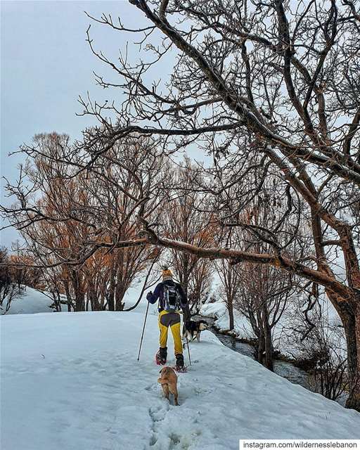 .*❄Join us this Sunday for a new magical snowshoeing experience to Balou3...
