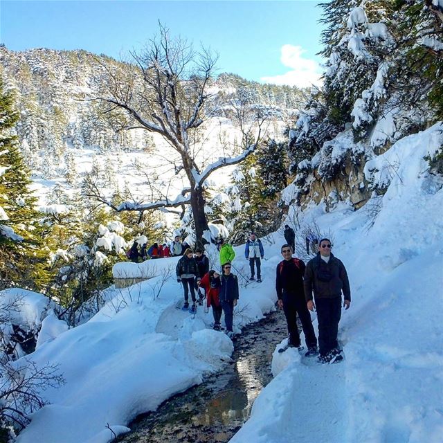 JOIN US TOMORROW FOR A NEW SNOWSHOEING EXPERIENCE.DESTINATION. EHDEN... (Ehden, Lebanon)