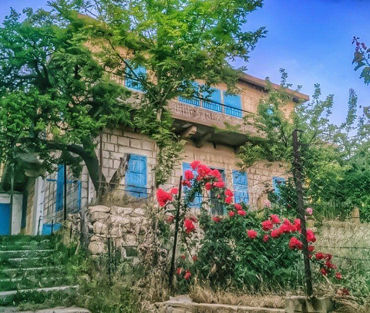 June is like a hopeful window to the dreamy blue summer skies 🌺💙🌺... (Ehden, Lebanon)