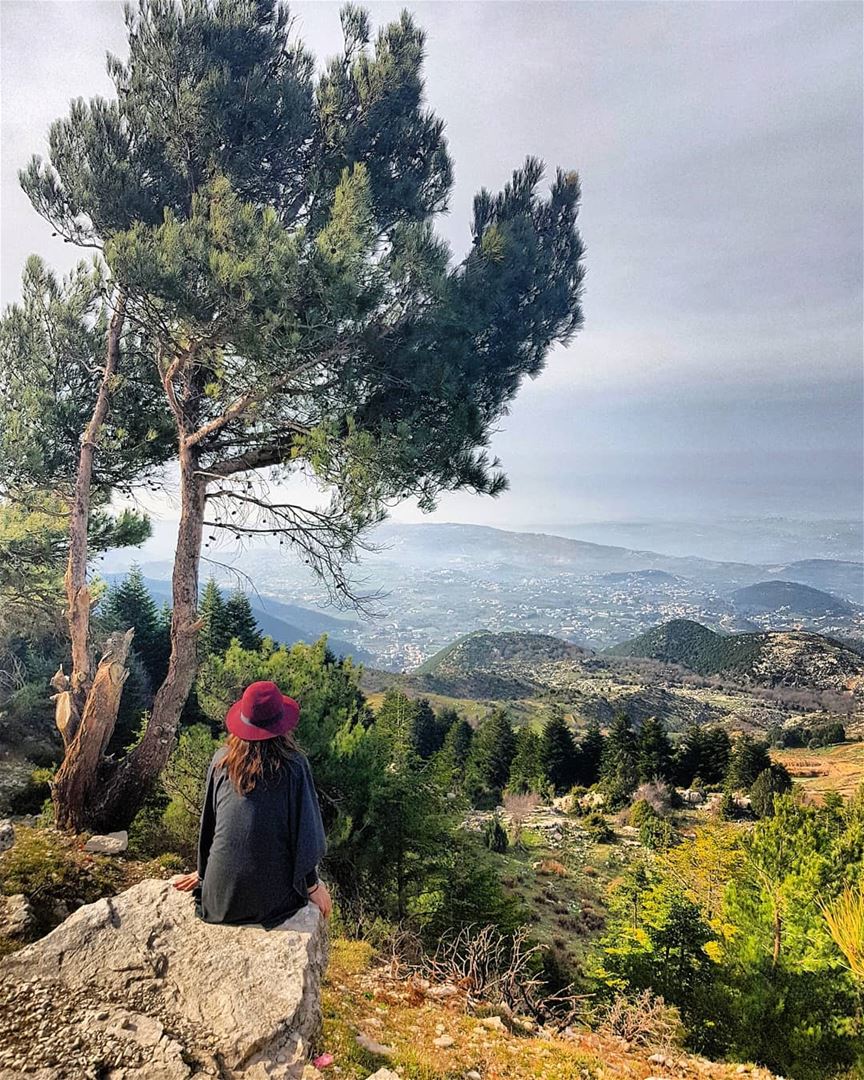 Just gazing at this beautiful view of Akkar from the Qammoua forest! Did... (El Qammoûaa)