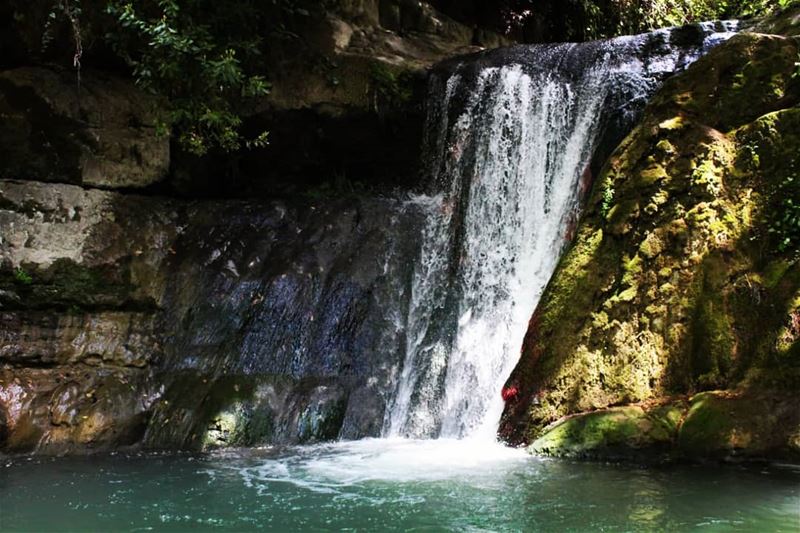 Just let go and fall like a little waterfall... nature  hiking ... (El-Mukhtarah, Mont-Liban, Lebanon)
