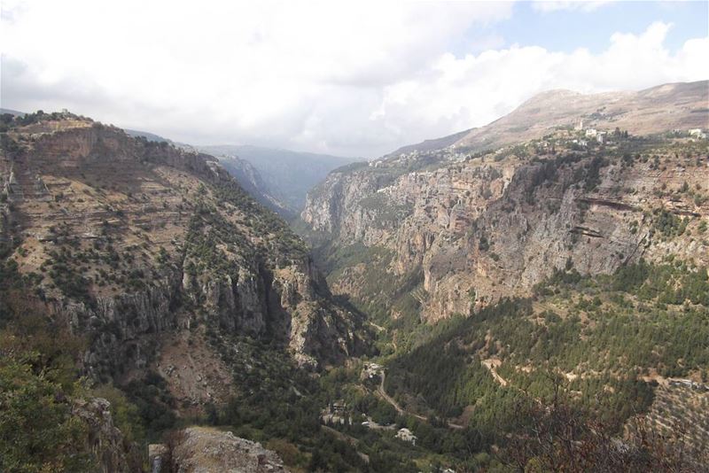 Kadisha Valley, Bsharri 🌲  Lebanon 🌲🌲🌲............ (Kadisha Valley)