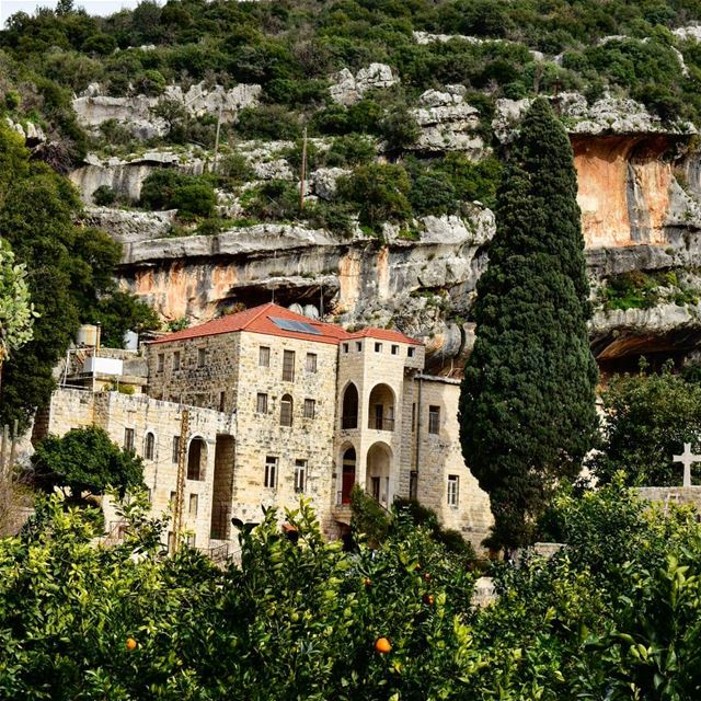  kaftoun  kaftun  monastery  orthodox  koura  batroun  northlebanon ... (Kaftoûn, Liban-Nord, Lebanon)