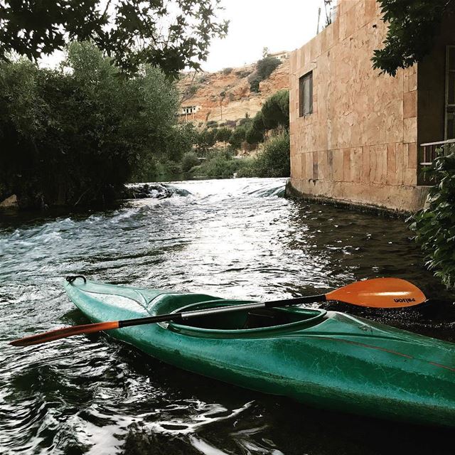  Kayak ... It's a great way to get up close to nature Photo credits to @mu