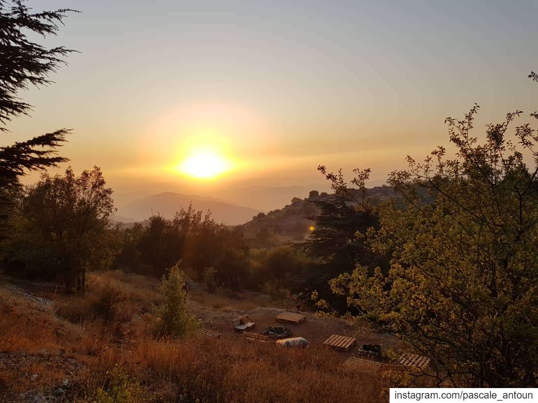 ✔Keep dreaming & chase your dreams! sun  sunset  sunsets  sunsetlover ... (Al Shouf Cedar Nature Reserve)