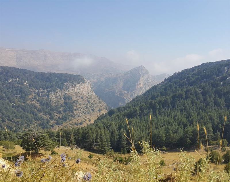 Keep hiking ✌  cedars  lebanon  reserve  naturelovers  trailslife ...