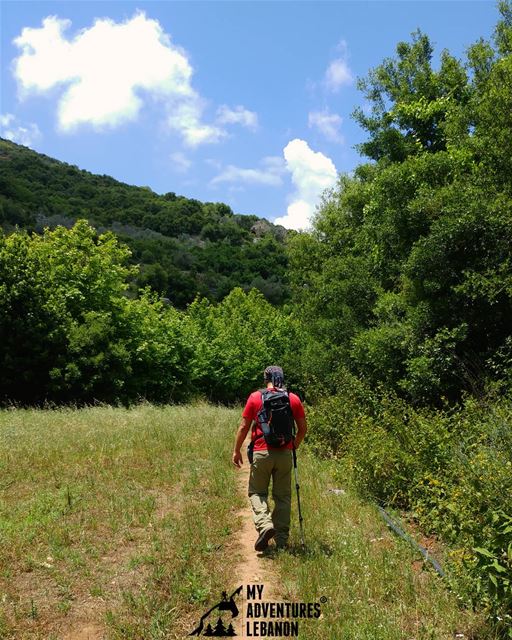 Keep it green 🍃 keepitclean  myadventureslebanon  lebanon  hikinglife ...