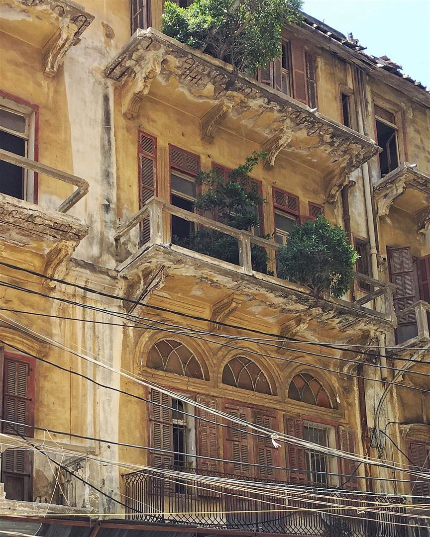 keeping the past alive 🌾 this building has been demolished 🥀••... (Beirut, Lebanon)