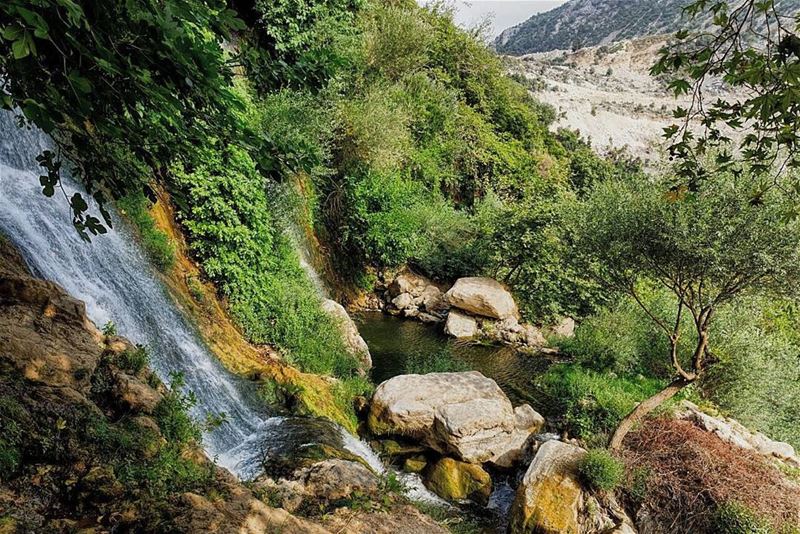  kfarhilda  lebanon  waterfall  river  nature  landscape ... (Kfarhilda, North)