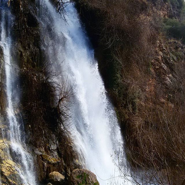 Kfarhilda  Waterfall  Batroun  waterfall  nature  livelovelebanon ... (Batroun District)
