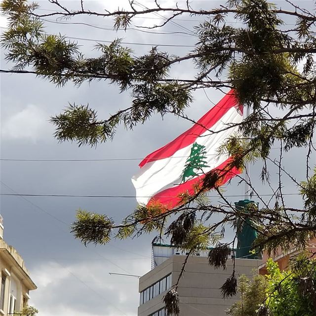 Koulouna  libaladi! voteright  votelibaladi electionsseason  country ... (Achrafieh, Lebanon)
