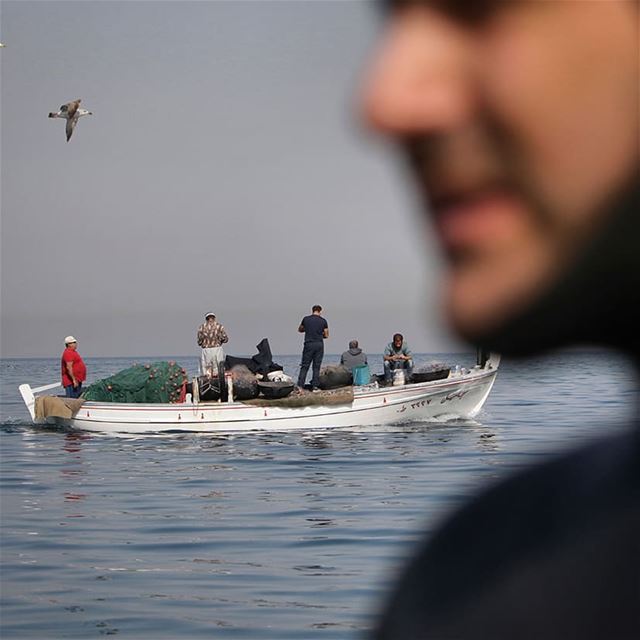 La búsqueda de peces -  ichalhoub in Qalamun north  Lebanon shooting with...