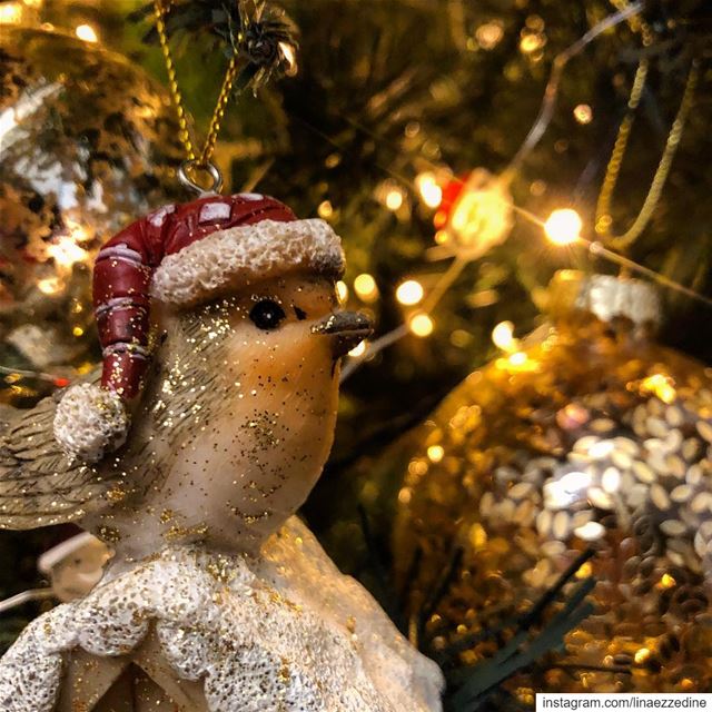 La magie de Noël 🎄✨✨.... ميلاد_مجيد  merrychristmas  joyeuxnoel  ... (Beirut, Lebanon)