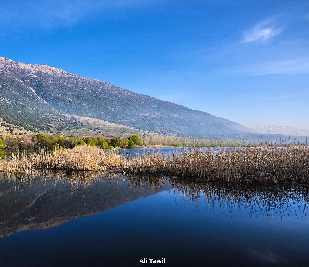 🏞 landscape  nature  naturelovers  reflection  nikon  d810  beautiful ... (`Ammiq, Béqaa, Lebanon)