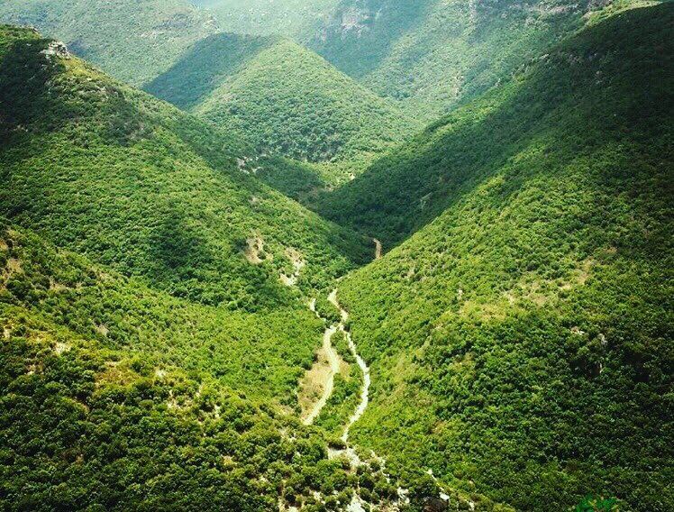  landscape  view  green  south  lebanon  follow  me  trees  like4like ... (Zibqin, Al Janub, Lebanon)