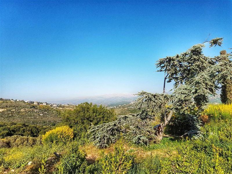 Landscapes from Lebanon's  mountains  mountains  mountainsoflebanon ...