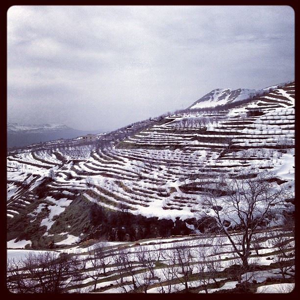 📷 Last Days Of Winter ❄ lebanon  laklouk  snow  snowy  mountains  nature...
