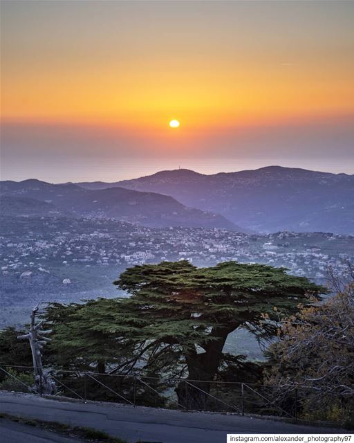 Last light - The golden hour at Mount Barouk Biosphere - 12/5/2019  sun ... (Arz el Bâroûk)