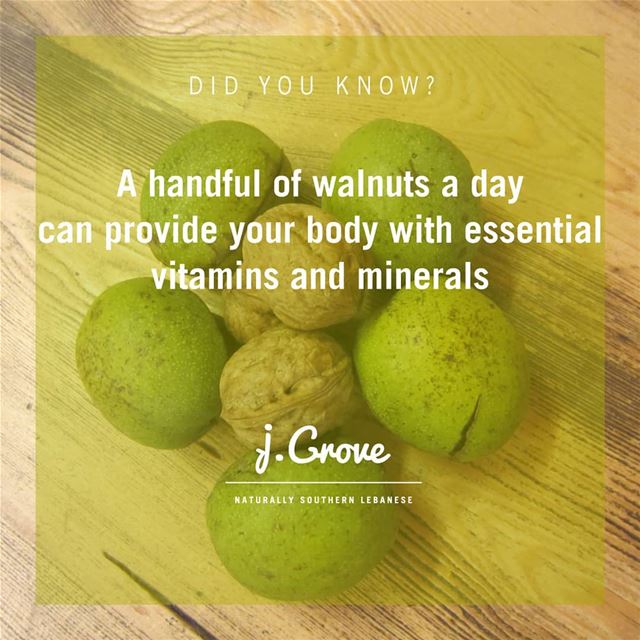 Latest studies have shown walnuts have the potential to prevent cancer and...