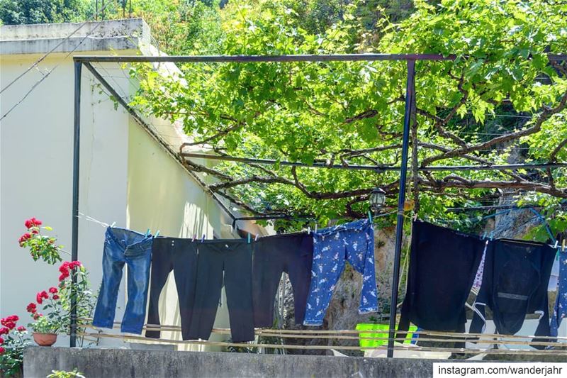 Laundry of the day! 🧥👖💙 village  laundry  terracehouse  vines  ... (Qartaba)
