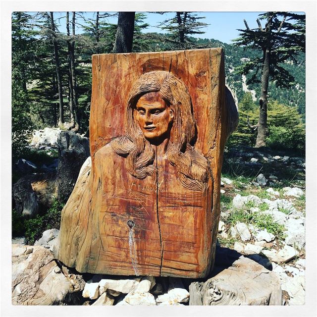 Le mémorial de  Dalida à la réserve naturelle des  Cèdres de  Tannourine... (Arz Tannoûrîne)