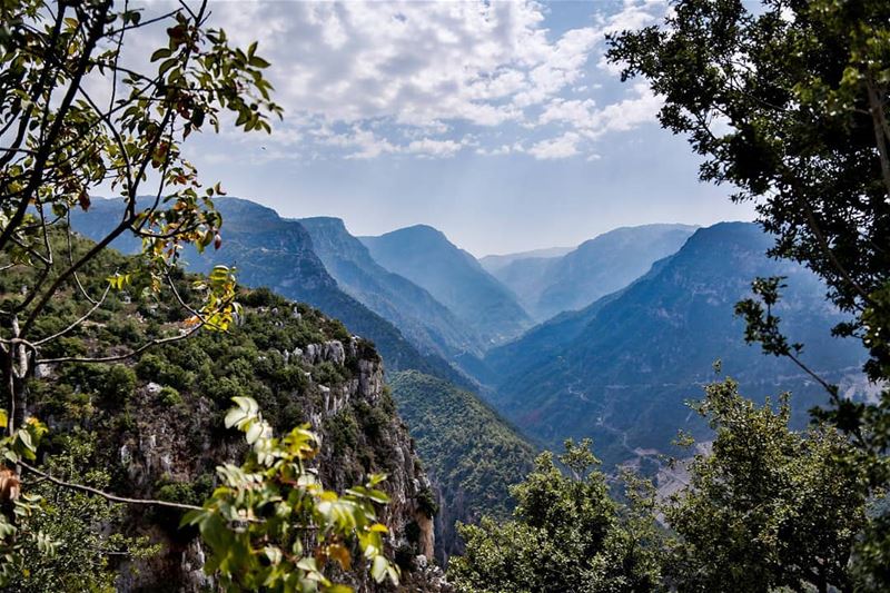 Leave no path unexplored  naturelover naturewonders  lebanon... (`Akkar, Liban-Nord, Lebanon)