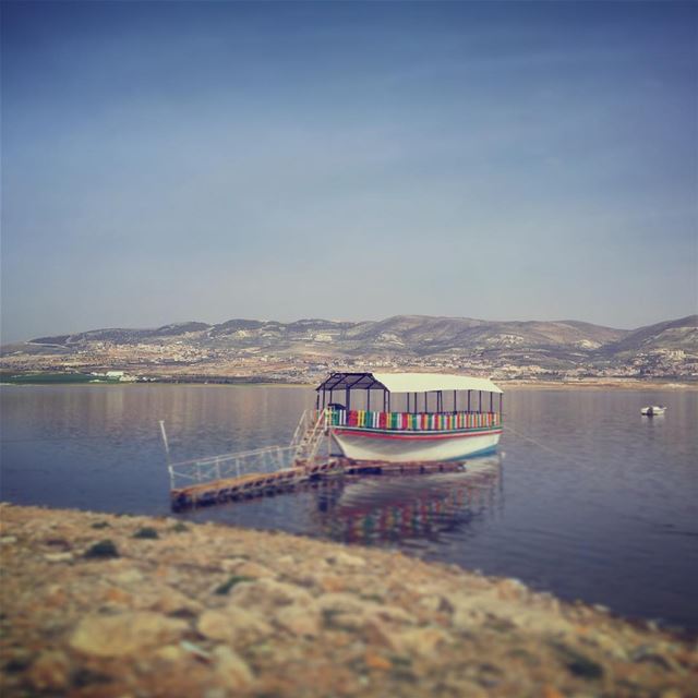  lebanon  bekaa  beqaa  qaraoun  qaraounlake  liveloveelebanon ... (Lake Qaraoun)