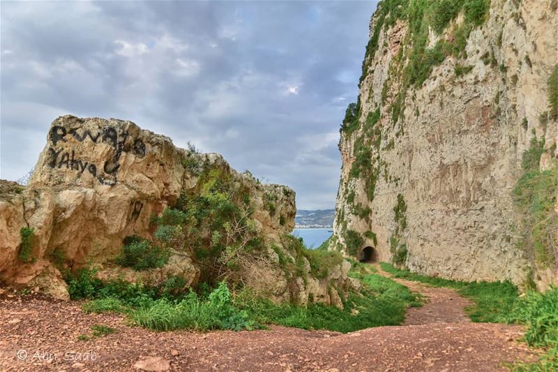  lebanon  chekka  tunnel  north  rocks  landscape  landscapephotography ... (Chekka)