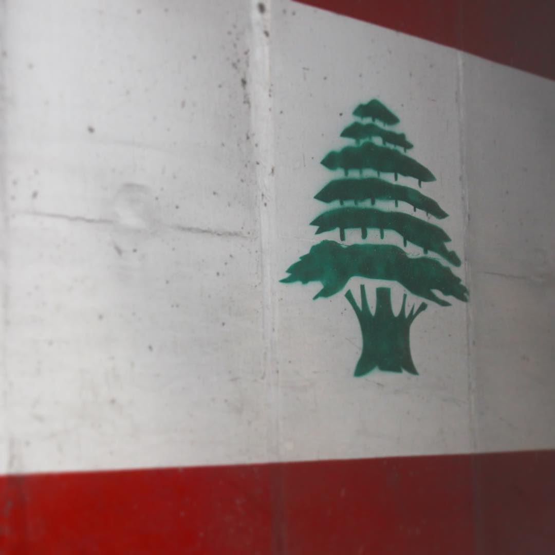  lebanon  flag  country  mea  home  green  cedar  red  blood  white  snow ...