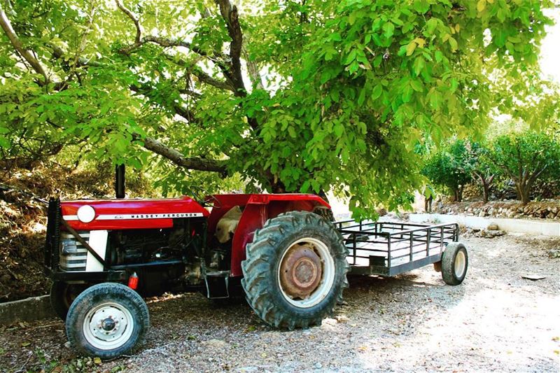 #lebanon #lebanese #tractor #agriculture (Ein Zebde)
