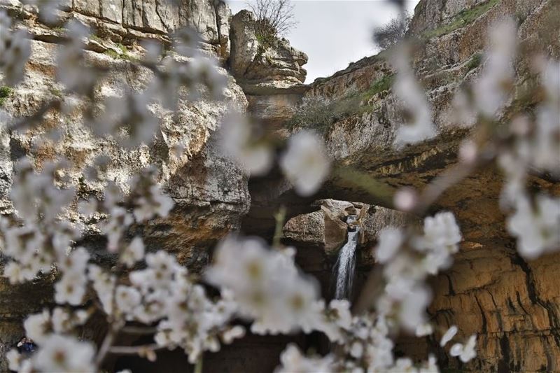  lebanon  lebanse  nature  naturephotography  waterfall  gaia ... (Bâloûaa Balaa)