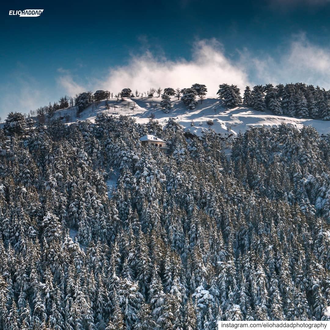  Lebanon 🇱🇧 LiveLoveLebanon  LiveLoveBeirut  Snow  White  Nature  Sky ... (Hadath El Jebbeh - Bcharré)