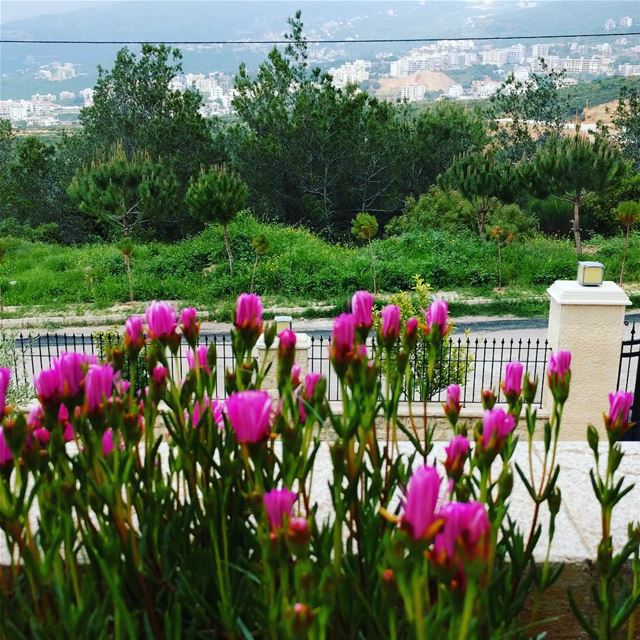  lebanon  livelovelebanon❤️  Aley  livelovealey  home  myhome🏡   spring ... (Aley)