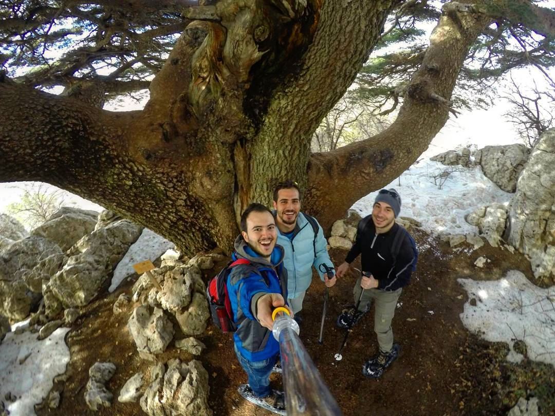  lebanon  maaserelchouf  snowshoeing  hiking  hikinglife  hikingadventures... (Maaser El Shouf Cedars)