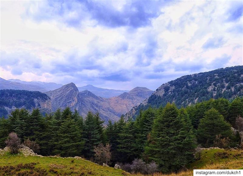  lebanon  mountains  lebanese  trail  cedar  forest  extreme  nature  wild...