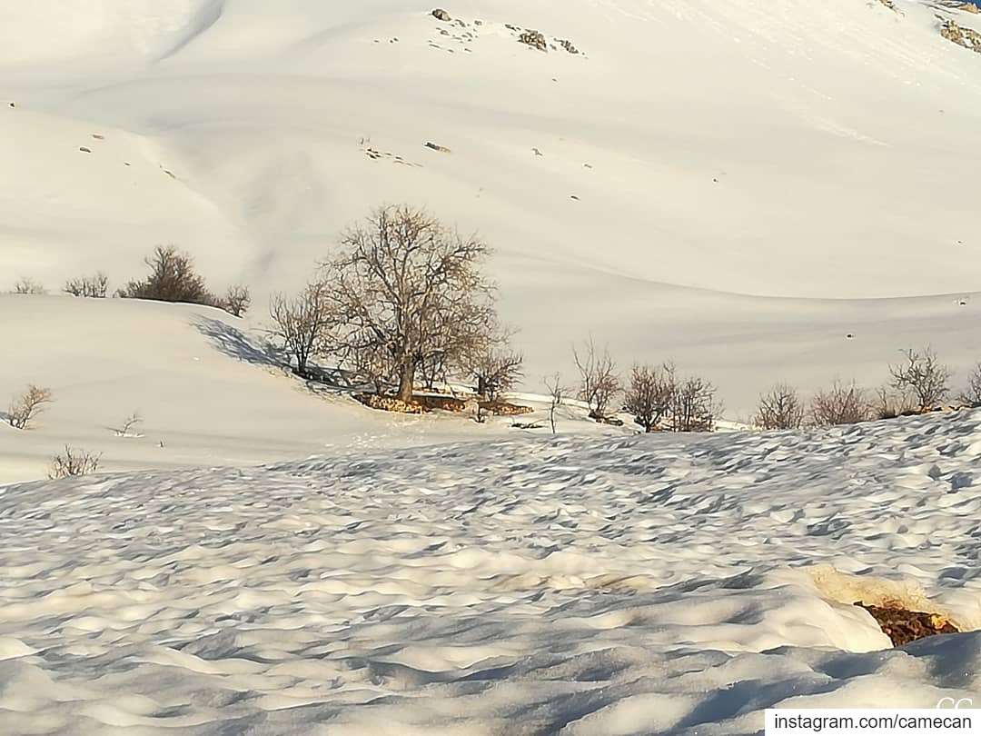  lebanon  sannine  winter  season  snow  livelovelebanon  livelovebeirut ...