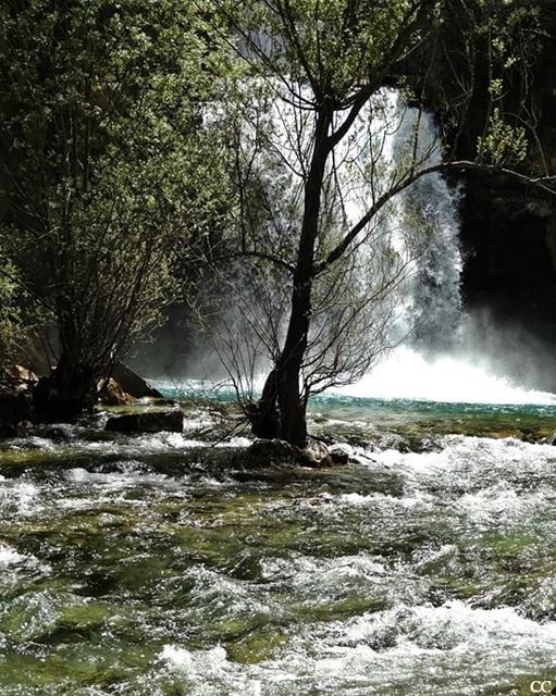  lebanon  waterfall  water  afqa  livelovelebanon  livelovebeirut ...