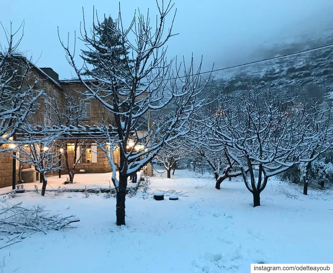 Let it snow ❄️❄️⛄⛄ ptk_lebanon  super_lebanon  livelovelebanon ... (Akoura, Mont-Liban, Lebanon)