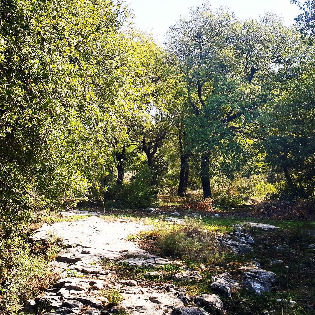 Let nature's peace flow into you as sunshine flows into trees. hiking... (Miziâra, Liban-Nord, Lebanon)