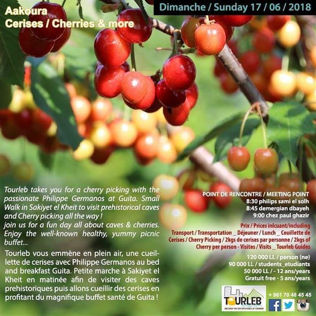 Let's cherry and eat and walk and have funnnnn !RSVP ASAP tourleb ... (Akoura, Mont-Liban, Lebanon)