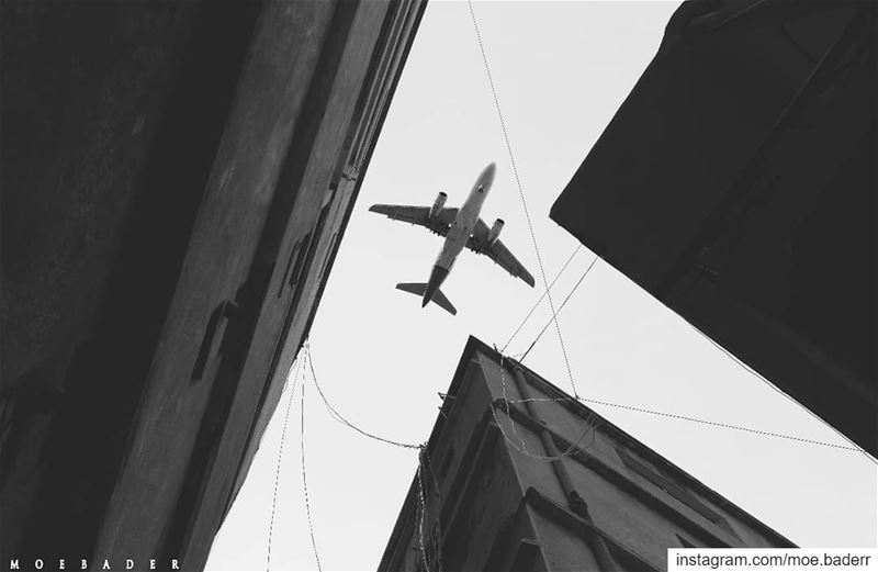 •let's fly away• blackandwhite  fly  plane  blackandwhitephotography ...