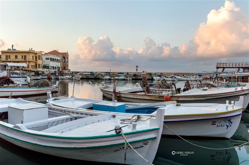 Let's sail away ⛵www.charbelfersan.com - © All rights reserved tb ... (Tyre, Lebanon)