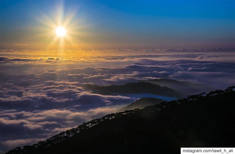 Let The Sun Shine the World ☀️--- sunset  landscape  sunsetlover ... (Falougha, Mont-Liban, Lebanon)